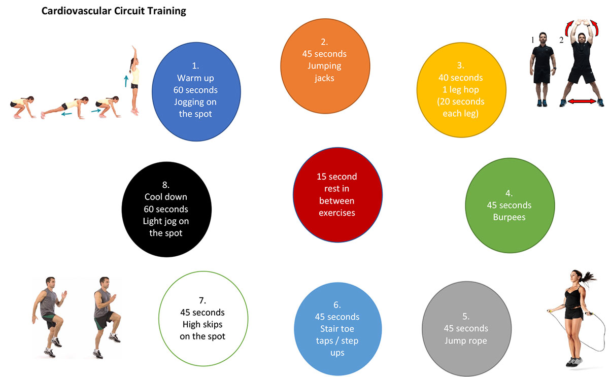 cardiovascular circuit training